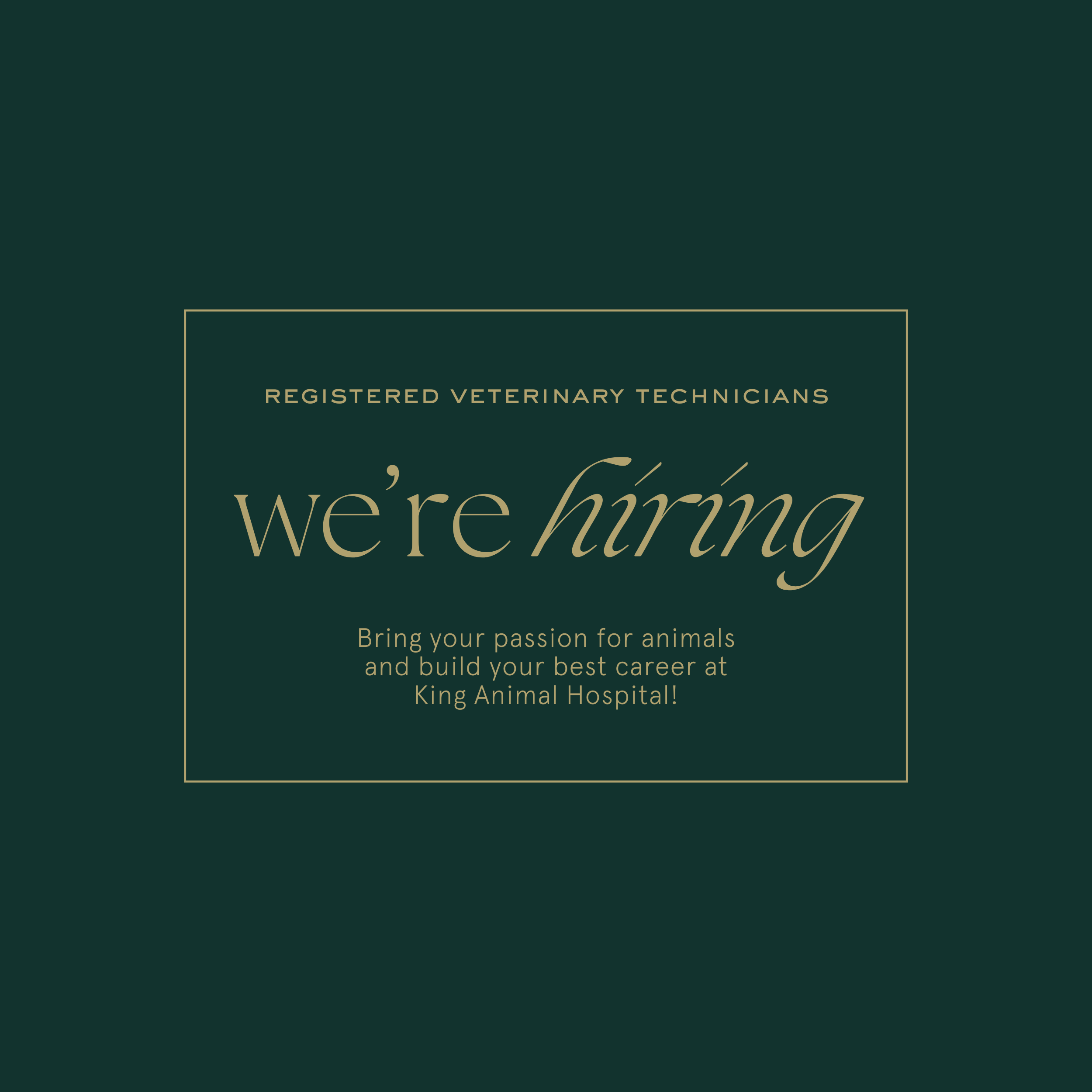 Seeking Registered Veterinary Technicians
