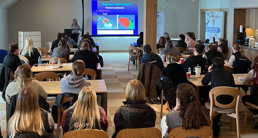Canada Steps Forward in Equine Veterinary Education